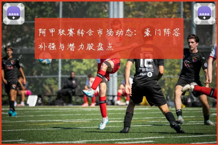 阿甲联赛转会市场动态：豪门阵容补强与潜力股盘点